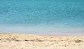 Токсична риба превзе плитките води край Крит