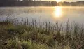 Пускат светлинни фенери над Дунав на рибен фестивал край село Мечка