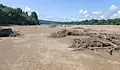 Опасни дървета по дъното на Дунава край хижа "Приста"