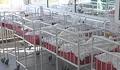 ВКС: Майката носи вина за разменените бебета в "Шейново"