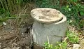 Отпадни води наводниха улица в село Ситово
