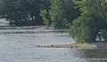 Забраниха къпането в река Марица