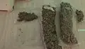 Полицията иззе килограм наркотици в София