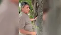 Режат над 20 опасни дървета на булевард „Съединение“