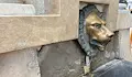 Вандали разбиха с лост "Царската чешма" в Казанлък