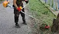„Паркстрой“ продължава косенето на тревните площи в Русе