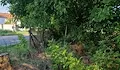 Разрешиха продажбата на имот в село Червена вода