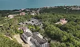 Дора Марчева: Изсякоха гората, това е тотална мафия