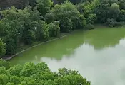 "Червенка" мори рибата в язовир Николово