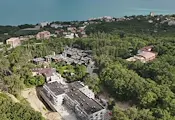 Дора Марчева: Изсякоха гората, това е тотална мафия