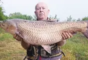 Огромен бял амур се хвана в Марица Огромен бял амур се хвана в Марица
