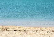 Токсична риба превзе плитките води край Крит