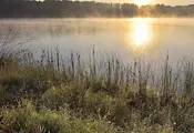 Пускат светлинни фенери над Дунав на рибен фестивал край село Мечка