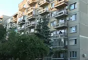 Спасиха куче и котка, заключени с дни на тераса в столичен блок
