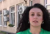 Граждани ще картотекират дигитално дърветата в Русе