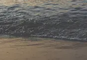"Мъртвакът" по морето подрани