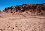 Учени изчислиха кога ще изчезне растителността на Земята Учени изчислиха кога ще изчезне растителността на Земята
