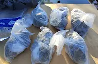 Разкриха тайни депа с килограми дрога в Русе