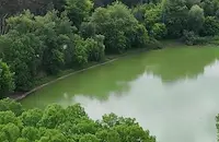 "Червенка" мори рибата в язовир Николово
