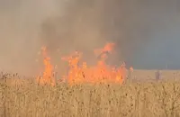 Пожар обхвана лавандулова нива край Гурково
