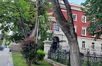 Изсъхнали дървета застрашават пешеходци в центъра на Русе