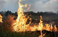 Глобяват до 1000 евро за палене на огън на открито
