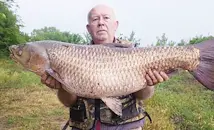 Огромен бял амур се хвана в Марица