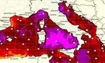 Средиземно море се превръща в тропически басейн