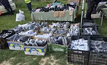 Полицията удари пазара за ментета в Кубрат