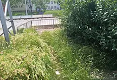 Бистра Тиханова Общинарите да ходят пеша или с велосипедРусенката Бистра