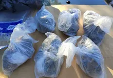 Служителите на реда иззеха хиляди евро при спецакцияМащабна дилърска мрежа