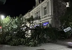Инцидентът затвори изцяло района около площад Хан Кубрат Голямо дърво