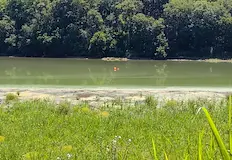 Умряла риба и ниско ниво застрашават пресушения водоемМиризма на тиня