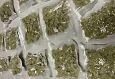 Мащабната спецакция се проведе на територията на областите Бургас и