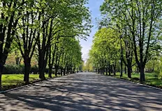 Граждани и експерти ще пазят парковете в градаОбщина Русе стартира