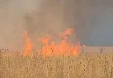 Няма опасност от разрастване към близките населени местаПожар в изоставена