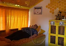 Апитерапията в търновското село привлича гости от страната и чужбинаПчелна