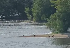 Мярката цели да предотврати трагични водни инцидентиЗа поредна година община