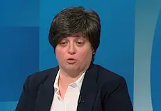Експертът настоява за контрол вместо крайни меркиПълната забрана на електрическите