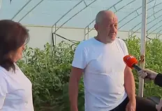 Дребният бизнес плаща цената за евтините храниДържавната инициатива за административно