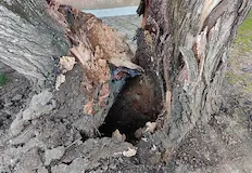 Гражданите също ще имат думата при обсъждане на съдбата на