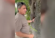 Опасни кухини застрашават сигурността на пешеходцитеНезабавно премахване на 22 декоративни