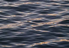 Мъжът е плажувал цял ден и след влизане във водата