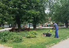 ОП Паркстрой обяви графика за седмицатаОт пресцентъра на Община Русе