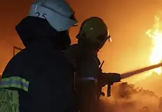 Бившият заместник министър предупреждава за липса на адекватна превенцияБившият заместник