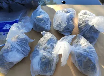 Разкриха тайни депа с килограми дрога в Русе