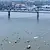 Трансграничен парад затваря Дунав мост