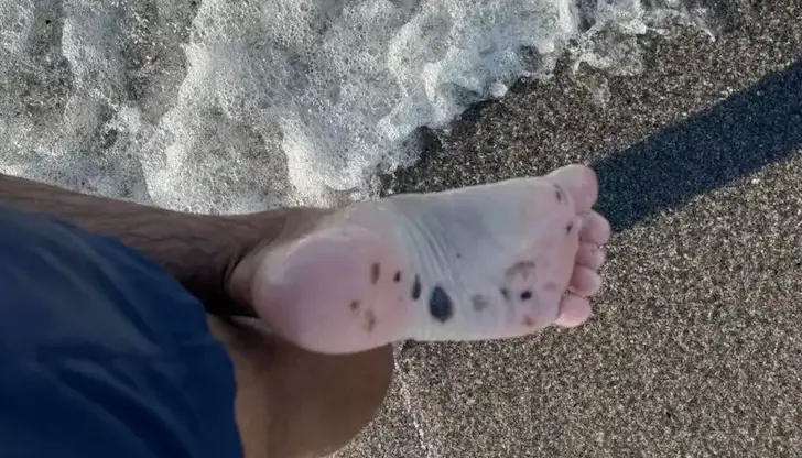 Властите гарантират качеството и безопасността на морската вода
