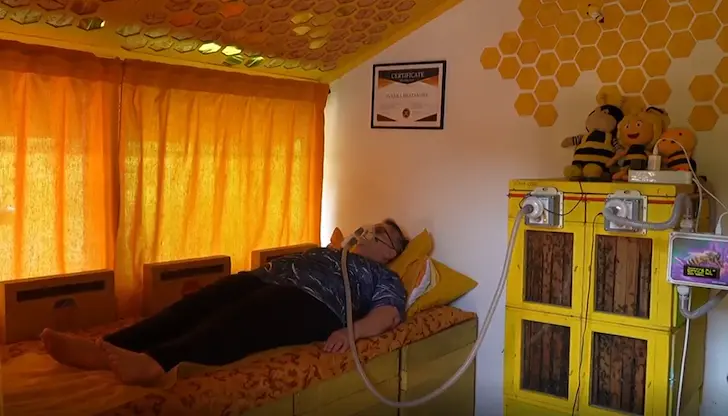Безплатна апитерапия в село Въглевци привлича туристи