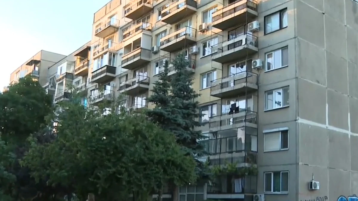 Спасиха куче и котка, изоставени на тераса в столичен блок с разкрити случаи на домашно насилие